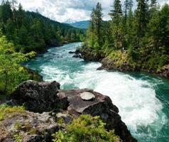 River rapids flowing through lush green forest with mountains in the background photo