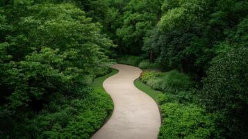 Curving pathway through lush green garden photo