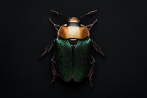 Closeup of a vibrant green and gold beetle on a black background photo