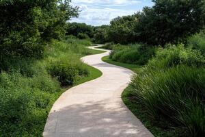 Curving pathway through a lush green park photo