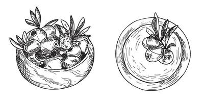 Set of two Bowls, Wooden and Oil with Olives and olive Branches from side and top view isolated on background. Hand drawn Ink Sketch, Botanical illustration in outline style. Can be used for menu vector