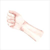 Man Hand in a Fist. Watercolor hand drawn illustration in realistic style isolated on a white background. Design element of arm holding something or prepared for blood donation. vector