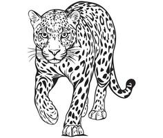 Walk Leopard Design vector