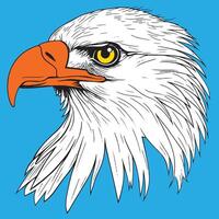 Detailed illustration of a majestic eagle head showcasing intricate feather designs and sharp features vector