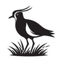 Southern Lapwing Silhouettes for Brochures, Posters, and Flyers vector