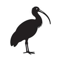 Create Beautiful Bird Illustrations with Black-Headed Ibis Silhouette Vectors