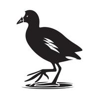 Common Moorhen Silhouette Vectors for Wildlife Logos