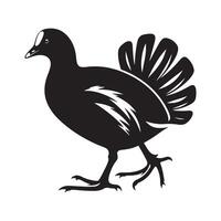 Nature Graphics Common Moorhen Silhouettes for Creative Use vector