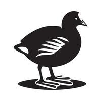 Silhouettes of Common Moorhens for Birdwatching Projects vector