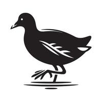 Common Moorhen Silhouette Vectors for Nature Illustrations