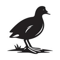 Premium Common Moorhen Silhouette Graphics for Download vector