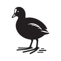 Common Moorhen Silhouettes for Nature-Inspired Branding vector