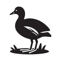 Versatile Common Moorhen Silhouette Graphics for All Uses vector