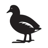 Customizable Common Moorhen Silhouettes for Digital Art vector