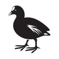 Artistic Common Moorhen Silhouette Vectors for Your Projects