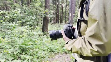 Photographer with camera capturing the serene forest. Lush greenery, scenic trees, professional equipment, tranquil environment, summer exploration, and creative connection with video
