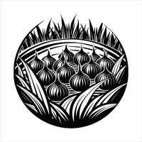 Drip Irrigation System For Onion vector