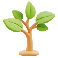 Young tree sapling growth, isolated, 3D render, nature background, website png