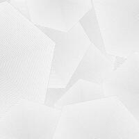 Abstract geometric pattern. background. White and grey texture. vector