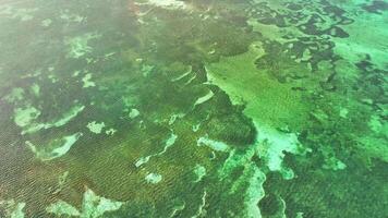 Aerial view of the colorful ocean video