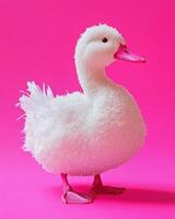 A white duck with a textured surface against a vibrant pink background, showcasing contrast and whimsy. photo