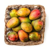 Vibrant, ripe mangoes in a rustic wicker basket on a white background. photo