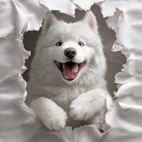 Adorable fluffy white dog playfully peeking through torn paper with joyful expression. photo