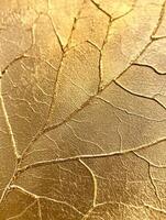 Close-up of a golden textured surface resembling cracked leaves. photo