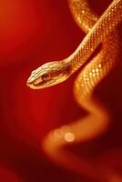 Close-up of a golden snake with intricate scales on a vibrant red background, exuding elegance and mystery. photo