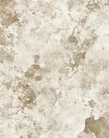 Close-up of an aged, textured wall revealing unique patterns and neutral tones. photo