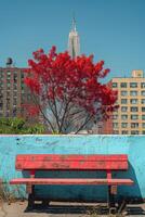 Vibrant red tree and empty bench in front of urban skyline under a clear blue sky. photo