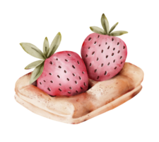 dessert waffle with strawberries, Watercolor illustration png