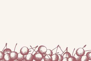 Banner for text with cherries. Background with engraved sweet berries of cherry-tree. Design border for label, card, print, sign, paper, logo, wrapping. Food and drink, harvest vector