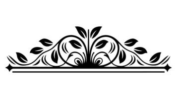Intricate Floral Design with Leaves and Abstract Lines in Baroque Style vector