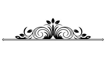 Ornate Floral Design with Baroque Frame and Abstract Line Patterns vector