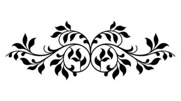 Baroque-Inspired Floral Ornament with Engraving and Decorative Scrollwork vector