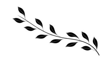 Retro Baroque Ornament Featuring Detailed Floral Scrolls and Leaves vector