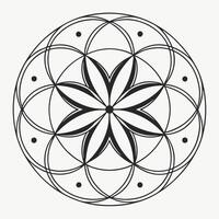 Elegant Circular Mandala Artwork vector