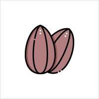 Two almond nuts icon on white background vector