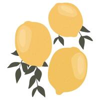 Lemon icon isolated on white background. Simple sour fruits . Juicy groovy fruits in doodle style vector