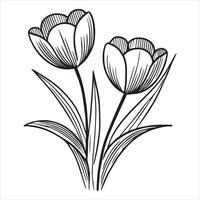 Elegant Tulip Flower Artwork Design vector