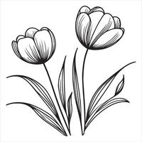 Delicate Tulip Bloom Design Art vector
