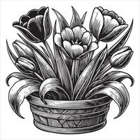 Soft Tulip Flower Painting Design vector