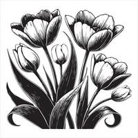 Romantic Tulip Blossom Design Art vector