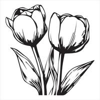 Bold Tulip Floral Graphic Design vector