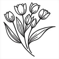 Exquisite Tulip Flower Sketch Artwork vector