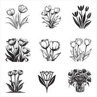 Graceful Tulip Art Bundle vector