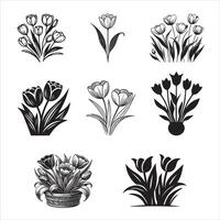 Stunning Tulip Illustration Pack vector