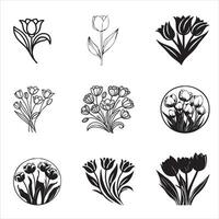 Elegant Tulip Flower Design Bundle vector