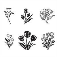 Vibrant Tulip Design Collection vector